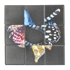 Silverback 魔術方塊 - (3x3), 危險水中生物, 1個