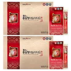 상아제약 6년근 고려 홍삼정 데일리타임 10p, 100ml, 6개