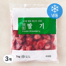 세미원 딸기 (냉동), 1kg, 3개