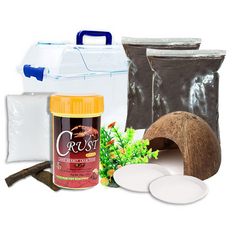 Rora Pet 寄居蟹飼養套組 椰纖土 2入, 混合色, 1套