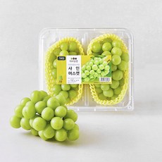 아리당찬 당도선별 샤인머스캣, 1개, 1kg