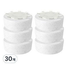 이온폴리스 닥터아토젯/아토젯/닥터퓨어 샤워기 녹물제거 호환필터, 30개