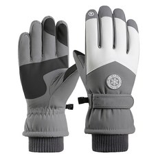 앤티스 남성용 스마트터치 스키장갑 양손착용, 윈드가드그레이, 1세트