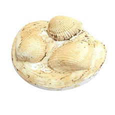 貝殼化石製作套組 5人份, 1套