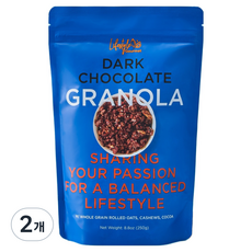 라이프스타일 고메 다크초콜릿 그래놀라, 250g, 2개