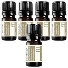 시나몬이오 아로마 에센셜 오일 E11 시나몬바크, 10ml, 5개