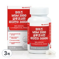 비타민마을 와이즈 MSM 2000 글루코사민 비타민D 3000IU 180g, 120정, 3개