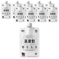코코랩 WPC 웨이프로틴 초코맛 10p, 30g, 10개