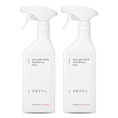 Saengong 生活工作所 除霉噴霧, 750ml, 2瓶