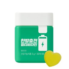 니몸내몸 한방충전 멀티비타민, 30정, 1개