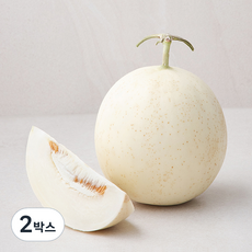산지직송 좋은하루 후숙해서드리는 화이트 메론, 1.2kg, 2박스