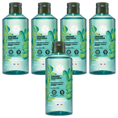 이브로쉐 리프레쉬 헤어식초, 400ml, 5개