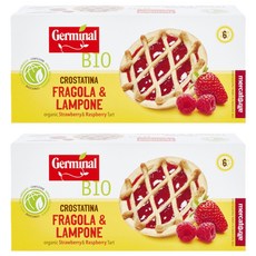 Germinal 유기농 라즈베리 앤 스트로베리 타르트, 270g, 2개