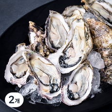 갯마을 하프셀 반각석화 굴 30미, 900g, 2개