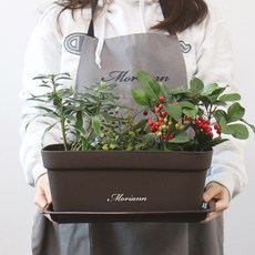 모리앤 초화 박스 3p + 화분 받침 3p, 다크브라운, 1개