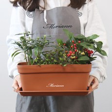 모리앤 초화 박스 3p + 화분 받침 3p, 라이트브라운, 1개