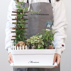 MORIANN 草花箱 3入 + 花盆託盤 3入, 白色, 1個