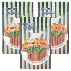 Boneplus 貓專用魚型薄荷潔牙條, 鮭魚風味, 70g, 3包