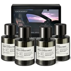 GIOVANNY 프리미엄 차량용 방향제 160ml 2p, 편백나무숲, 2세트