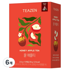 티젠 꿀 애플티 삼각티백, 2g, 15개입, 6개