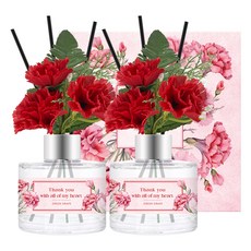 THE HERB SHOP 康乃馨香氛擴香 120ml, 2個, 綠葡萄