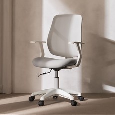 에르먼 베이직 컴퓨터 책상의자, 페블그레이