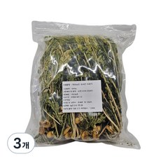 약초보은 건시래기, 500g, 3개