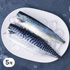 살맛나요 국내산 손질 신선한 고등어 (냉장), 280g, 5개