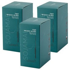 소자매 오늘은 에티오피아 예가체프 콜드브루 파우치, 30ml, 10개입, 3개