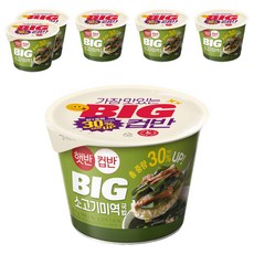 햇반컵반 BIG 소고기 미역 국밥, 311g, 6개
