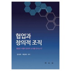 협업과 창의적 조직:협업은 어떻게 창의적 조직을 만드는가?, 법문사