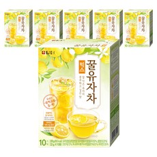 담터 꿀유자차 믹스, 22g, 10개입, 6개