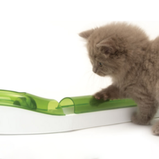 catit Hagen Senses 2.0 超級電路貓玩具, 混色, 1個