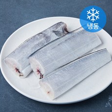 맛있는제주 제주 은갈치 (냉동), 1개, 400g