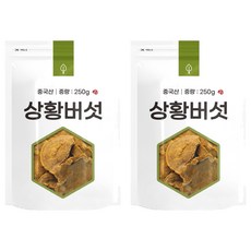 자연초 상황버섯, 250g, 2개