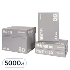 Hansol 影印紙 米色 80g, A4, 5000個