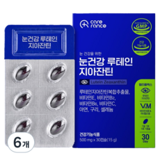 케어란스 눈건강 루테인 지아잔틴 3g, 6개, 6정