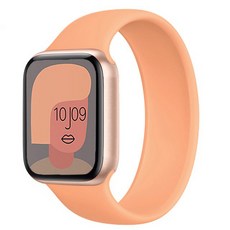 애플워치 잔루이지 루프스트랩 42 / 44mm S, 오렌지