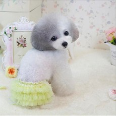 JOYnJOY Pet Race 衛生內褲 04 黃色 S, 小型, 1個, 1件
