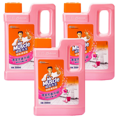 Mr Muscle 威猛先生 地板清潔劑 完美花香, 2L, 3桶