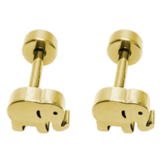 Brilliant Beauty 耀眼美人 微觀現象鈦閃耀 鈦鋼耳環鎖式耳環 1對