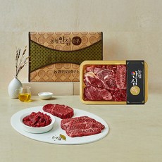 농협안심한우 1등급 채반 구이 정육 선물세트 1호 등심300g + 안심200g + 부채살200g + 국거리300g, 1세트