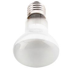 OTTO 50W 爬蟲聚熱燈泡，提升爬蟲環境溫度，提供UVA光波, 1個