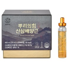 천지인 뿌리의힘 산삼배양근, 20개, 20ml