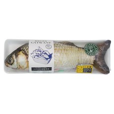 CATWANT 貓咪旺農場 100%貓薄荷 木天蓼填充, 大鯉魚, 1個