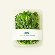 프리미엄 스마트팜 와일드루꼴라 믹스, 100g, 1개, 1개입