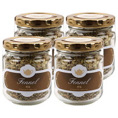 아름드레 유리병 펜넬, 50g, 1개입, 4개