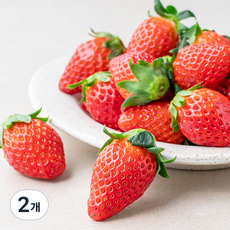 산지직송 과일진심 산청 GAP 인증 장희딸기(특), 500g, 2개