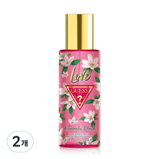 게스 러브 로맨틱 블러쉬 프래그런스 바디미스트, 2개, 250ml