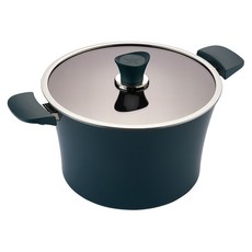 해피콜 인덕션 이든 곰솥냄비, 28cm, 스투키 그린, 1개